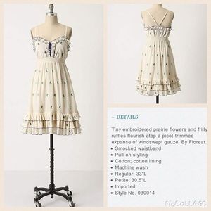 Anthropologie Grasslands Dress